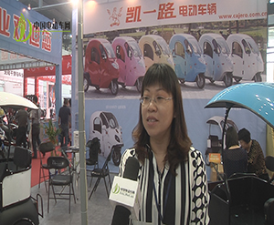 2014无锡展中国电动车网专访立峰集团有限公司