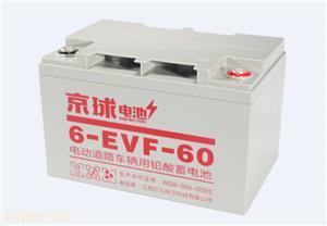 6-EVF-60铅酸电池