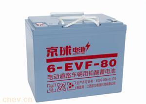 6-EVF-80铅酸电池