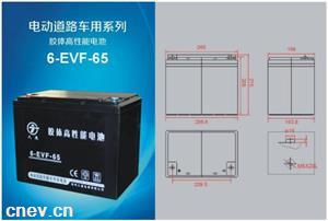 6-EVF65  12V65AH 动力电池
