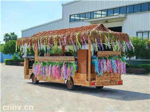 湖南多功能景区电瓶观光车价格大概多少电动旅游车代步车厂家供货