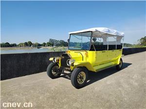 湖南6座个性化高尔夫球车景区园区电动代步车蓄电池观光车